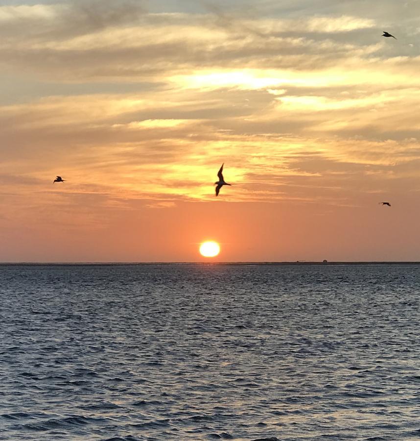 Lala lodge Pemba Zanzibar Mgini Bagian luar foto